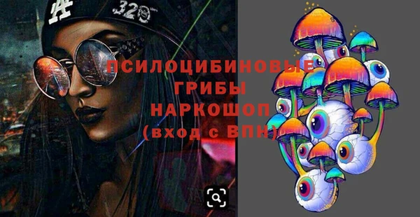ГАЛЛЮЦИНОГЕННЫЕ ГРИБЫ Алексеевка